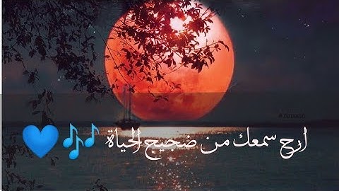 ارح سمعك 🎧 🎶 تلاوة هادئة تريح القلب💙 والعقل / القرآن الكريم/ سورة العلق