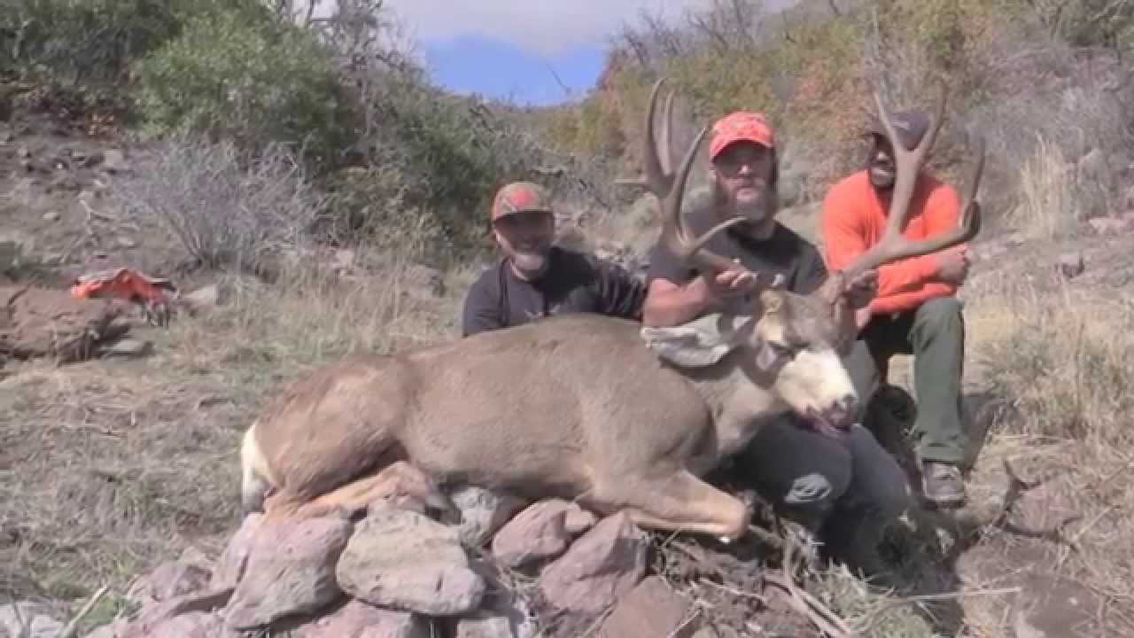 Big Utah Mule Deer Kill Shot YouTube big-utah-mule-deer-kill-shot-youtube