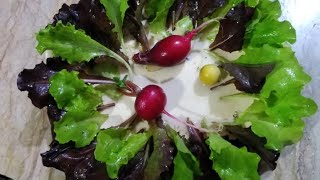homegrown purple and green lettuce🥬🥬🥬🥬🥬🥬
