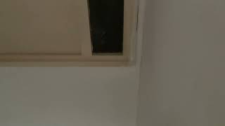 IMG 7550 21:40 22 2026 BANNING MY CEILING IMG 7550 21:40 22 2026 BANNING MY CEILING