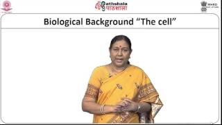 Genetic Algorithms - l