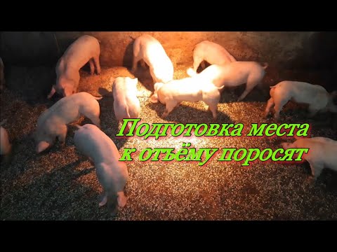 Ремонт поросенка маз
