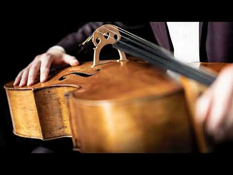 Ravel - Sonata for Violin and Cello (1922): I. Allegro