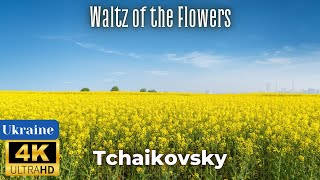 4K Ukraine Scenic Nature Video  Tchaikovsky  Waltz of the Flowers