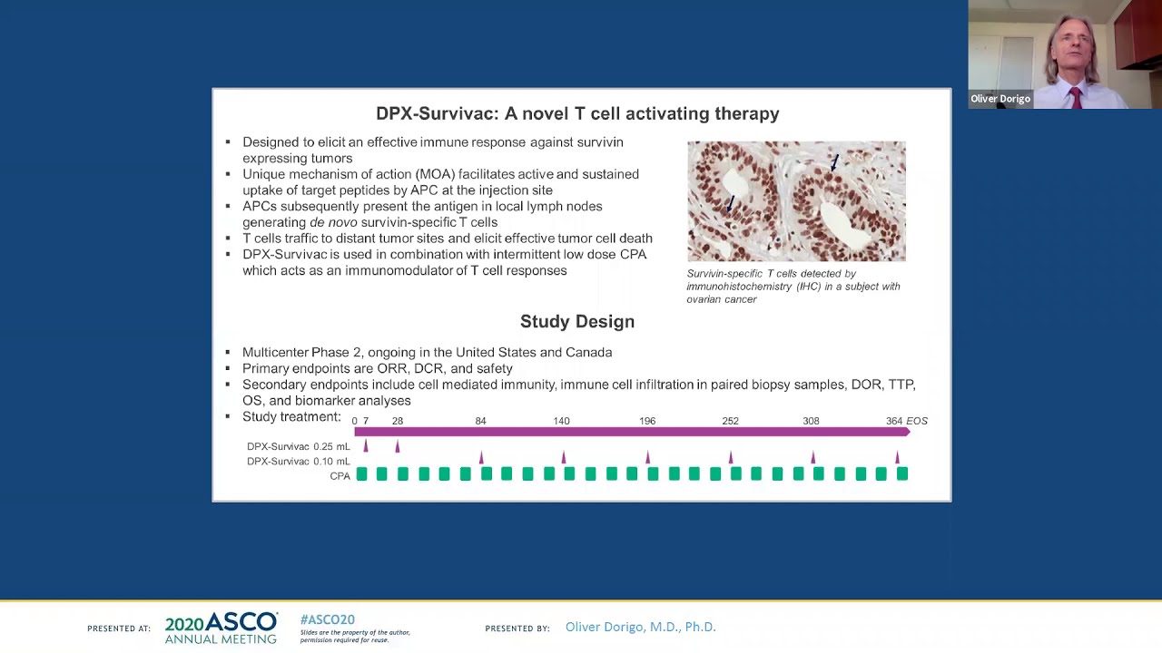 IMV's T cell therapy induced survivin-specific Tcell infiltration in tumors - ASCO2020 by Dr Dorigo