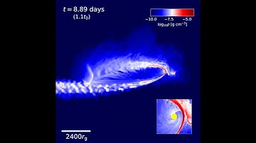 Fully relativistic global tidal disruption event - after first pericenter passage