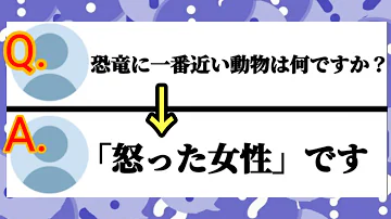 تحميل ヤフー知恵袋 Mp4 Mp3 تحميل ヤフー知恵袋 Mp4 Mp3