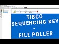 Tibco sequencing key  file poller