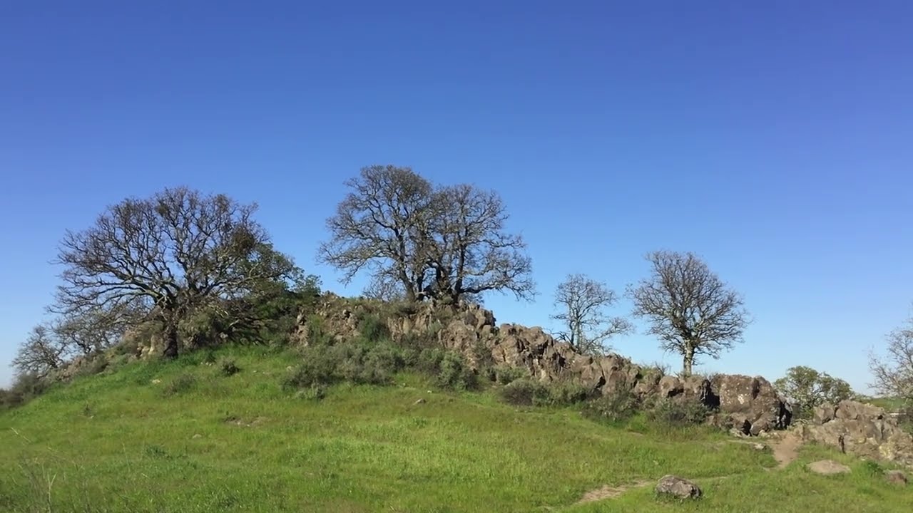 Shell Ridge - Part 1 (Rocky Outcrop)