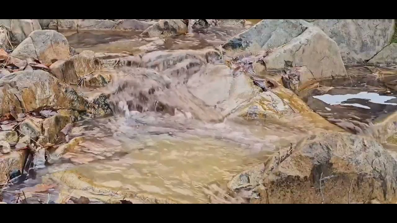 바위 청소하듯 투명한 손길로 이끼를 어루만지고 세월의 먼지를 씻어내며 흐르는 계곡물은 과연 어디로 갈까요.