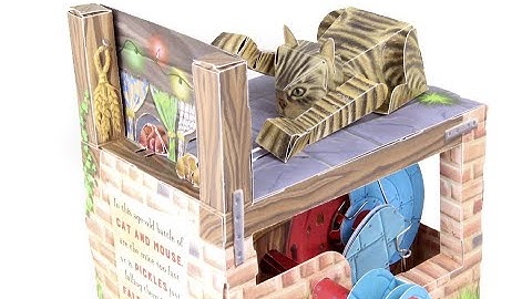 Cat and Mouse automata making