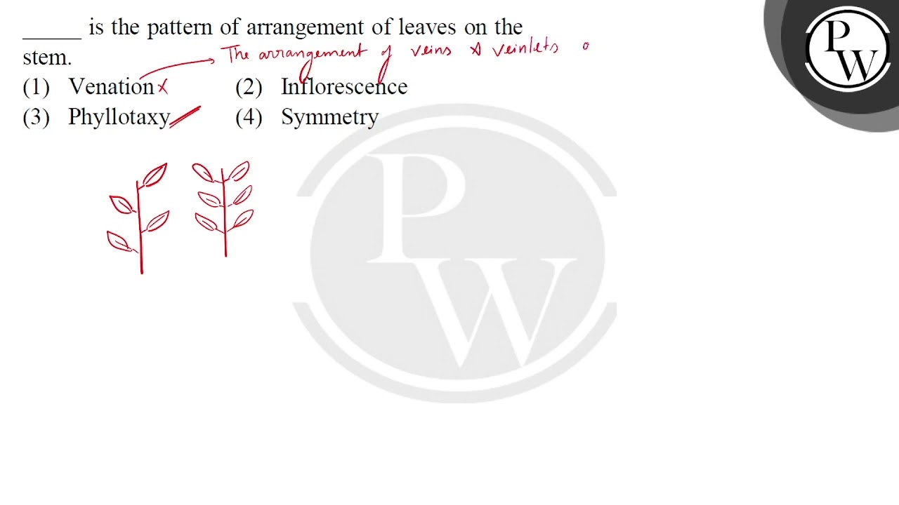 . Botany, an elementary text for schools. Botany. 260 STRUCTURE OF STEMS  AND ROOTS arrangement of the bundles. The sections, if mounted in a  permanent wa}', as in balsam, may be kept for further study of the bun-  dles. Compare with Fig. 401. 422 ...