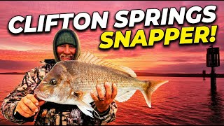 Clifton Springs Snapper Sojourn