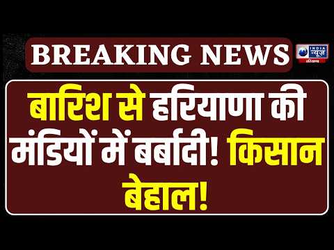 Farmer News: Haryana में बिन मौसम बरसात से तबाही! मंडियों में भरा पानी, किसान बेहाल!