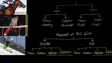 AQA GCSE PE - Movement Patterns