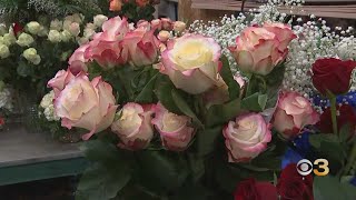 Mayfair's Stein Your Florist owner discusses this year's floral trends for Valentine's Day