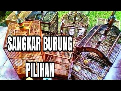 Macam Macam Bentuk Model Sangkar Burung  Kicau YouTube