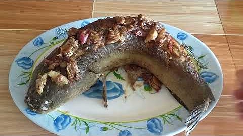 Cá lóc hấp nước mắm, món ngon cúng ông địa cả nhà cùng mê#caloc#monque #cooking #monngon 
