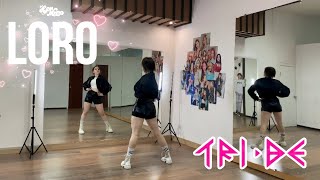 TRI.BE(트라이비) 'LORO(로로)' chorus + dance break | Dance Tutorial by TLC | SLOW MUSIC + Mirrored Resimi
