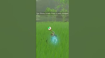 How does fusing affect durability in Tears of the Kingdom #tearsofthekingdom