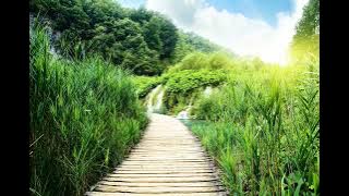 آهنگ تتلو  (ویولون بی کلام آهنگ بهشت) Tatalo Song (Violin Without Words, Song of Heaven)