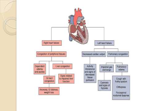 Pediatric Cardiac  Lecture