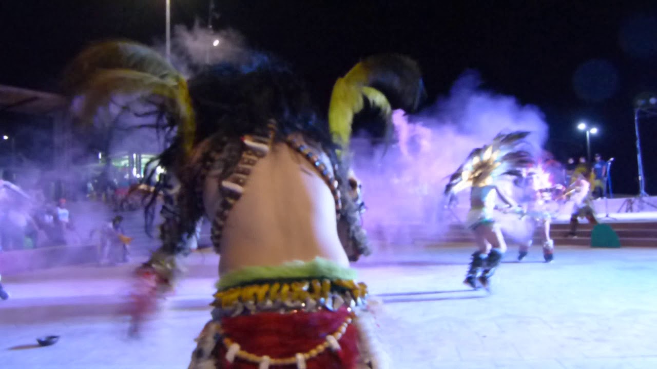 Fraternidad Internacional Tobas Jaguares - Ñusta Paulina Jaiña 2020