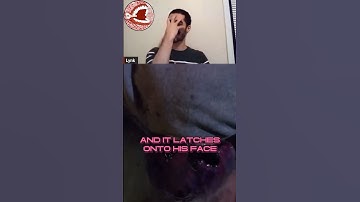 The Blob (1988) Kitchen Scene #shorts #theblob #horror #horrormovies #80smovies