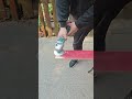 The 2-in-1 tool can not only be used to cut and grind with a pole angle grinder