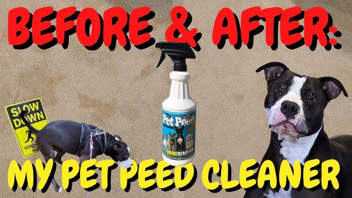 The Life Changing Magic of ENZYME CLEANERS! 🐱 Get Rid of Cat Pee