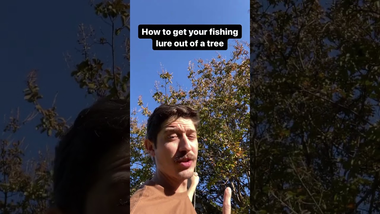 How to get your lure out of a tree 
