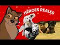 Perros que salvaron vidas (y nadie los olvida)