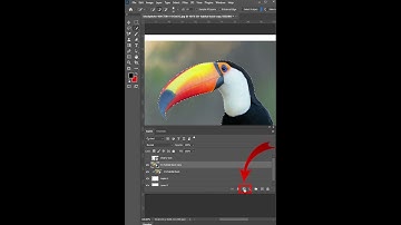 The Power of Layer Masks: Take Your Photoshop Skills to the Next Level#shorts #photoshop