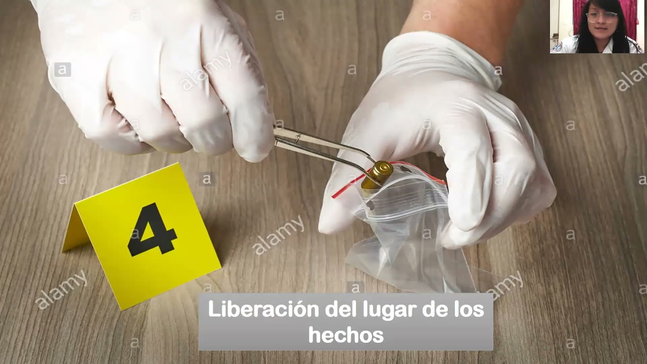 MANUAL DE BUENAS PRÁCTICAS EN LA ESCENA DEL CRIMEN - YouTube
