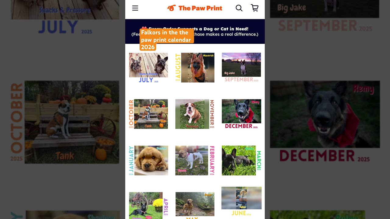 Falkors in the paw print calendar 2026