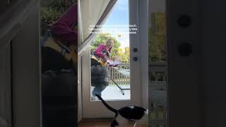 The Unbreakable Bond Between A Picky Kitty And His Favorite Auntie