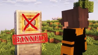 I Survived 10 Days without an elytra and here is why....