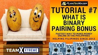 PLANPROMATRIX TUTORIAL #7 - What is Binary Pairing Bonus