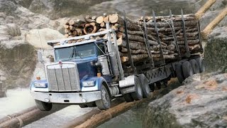 Amazing Fastest Skill Logging Truck Working - Heavy Automatic Wood Sawmill Machines &amp; Tree Felling
