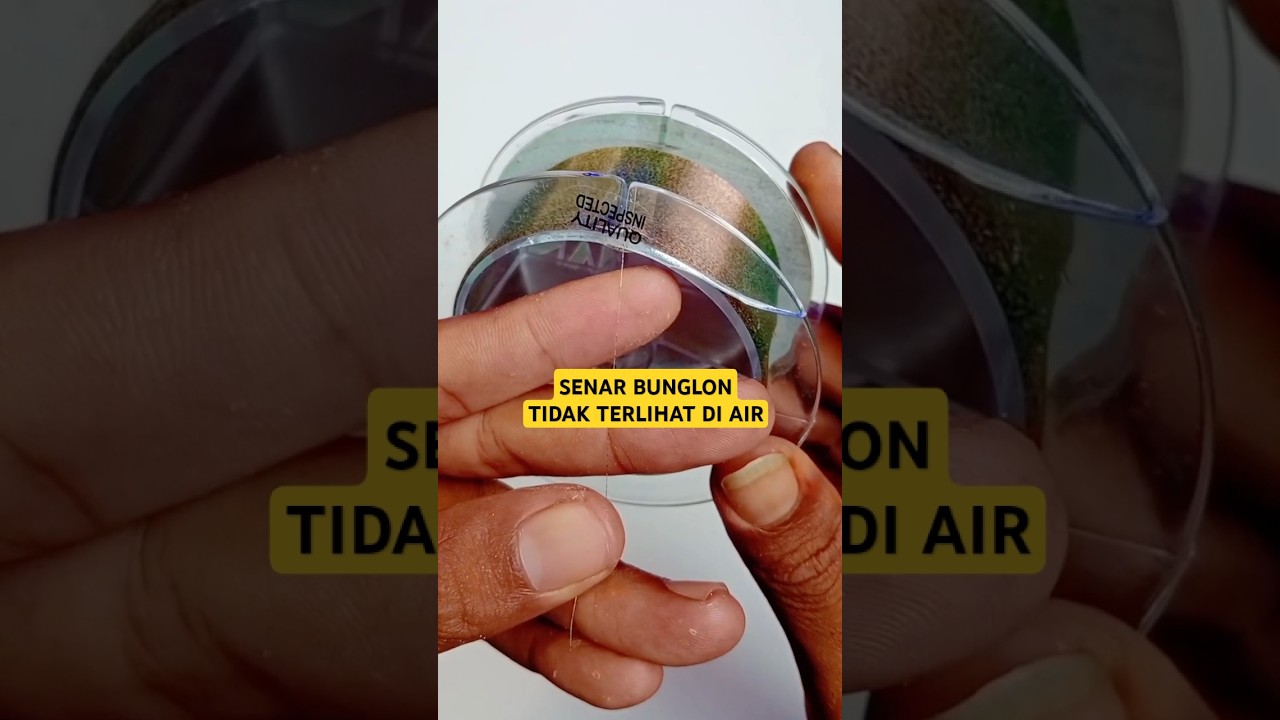 Rekomendasi senar pancing bunglon tidak terlihat di air 