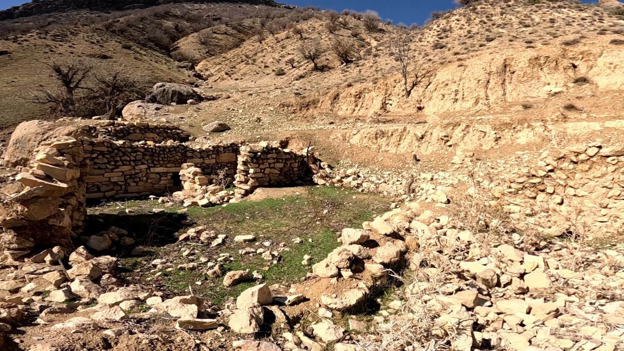 Relics of noble nomadic life, paddy fields, agriculture, livestock, mountains,human civilization2024