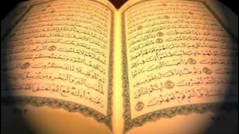 سورة المنافقون   صلاح البدير