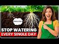 Why Don't People Know This About Watering?