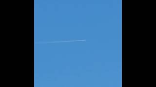 Iberia Airbus A330-202 Ec-Mlp Cruising At 36,000 Ft