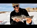 Ice Fishing for FAT Trout In A High Mountain Lake! Catch &amp; Cook