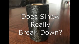 Does Sinew Really Break Down