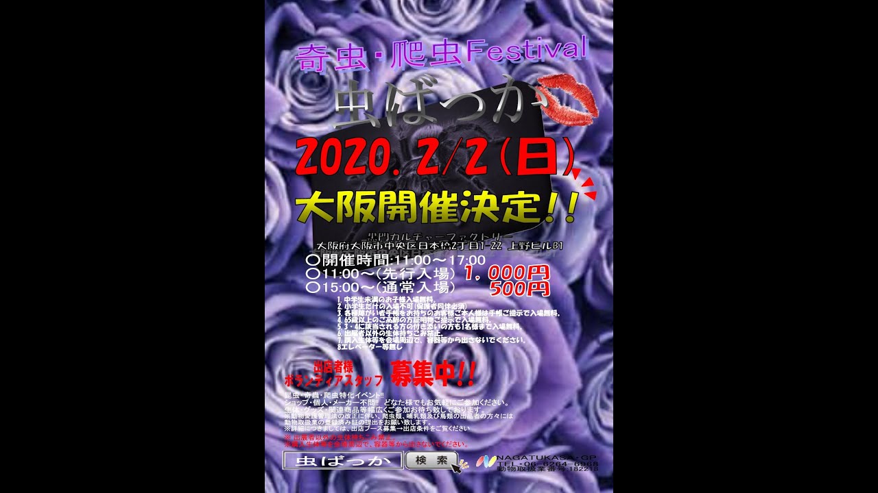 爬虫類イベントお迎え即売会 2 2虫ばっか予告pv Youtube