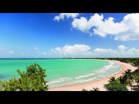 Video: Hotel Tepi Pantai Terbaik di Puerto Riko