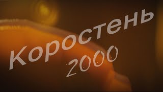 картинка: Взгляд в прошлое г. Коростень - 2000 г.