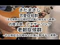 【さだまさし 恋愛症候群】の替え歌【老齢症候群−その発症及び傾向と対策に関する一考察】弾いてみた アコギ 弾き語り 一発撮り